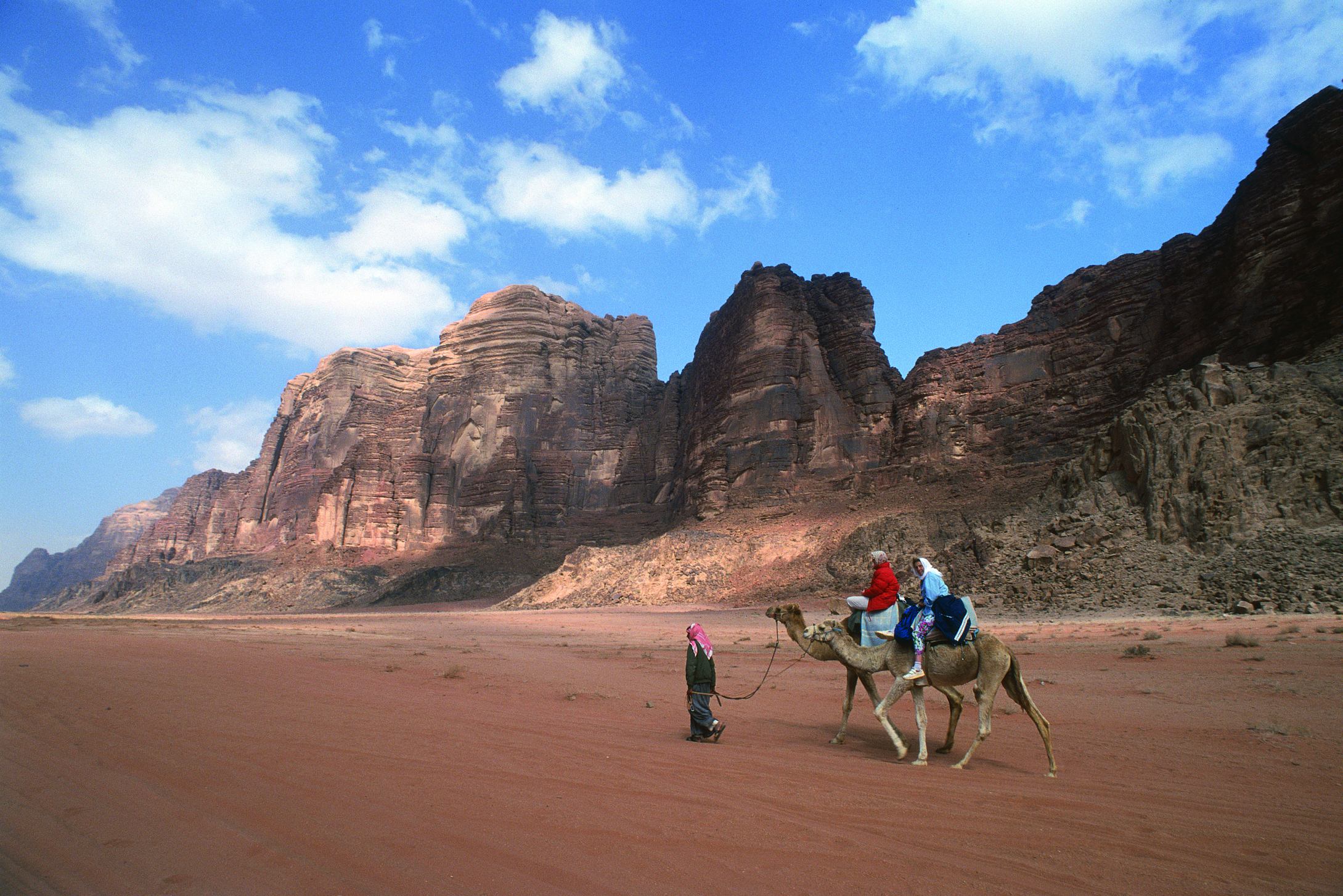 Wadi rum camels