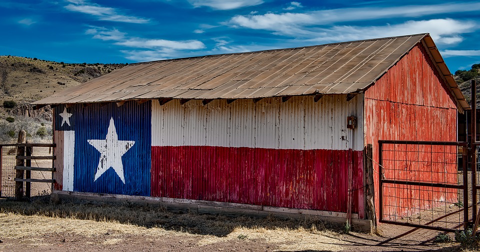 Texas drapeau